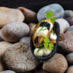 Condita mussel