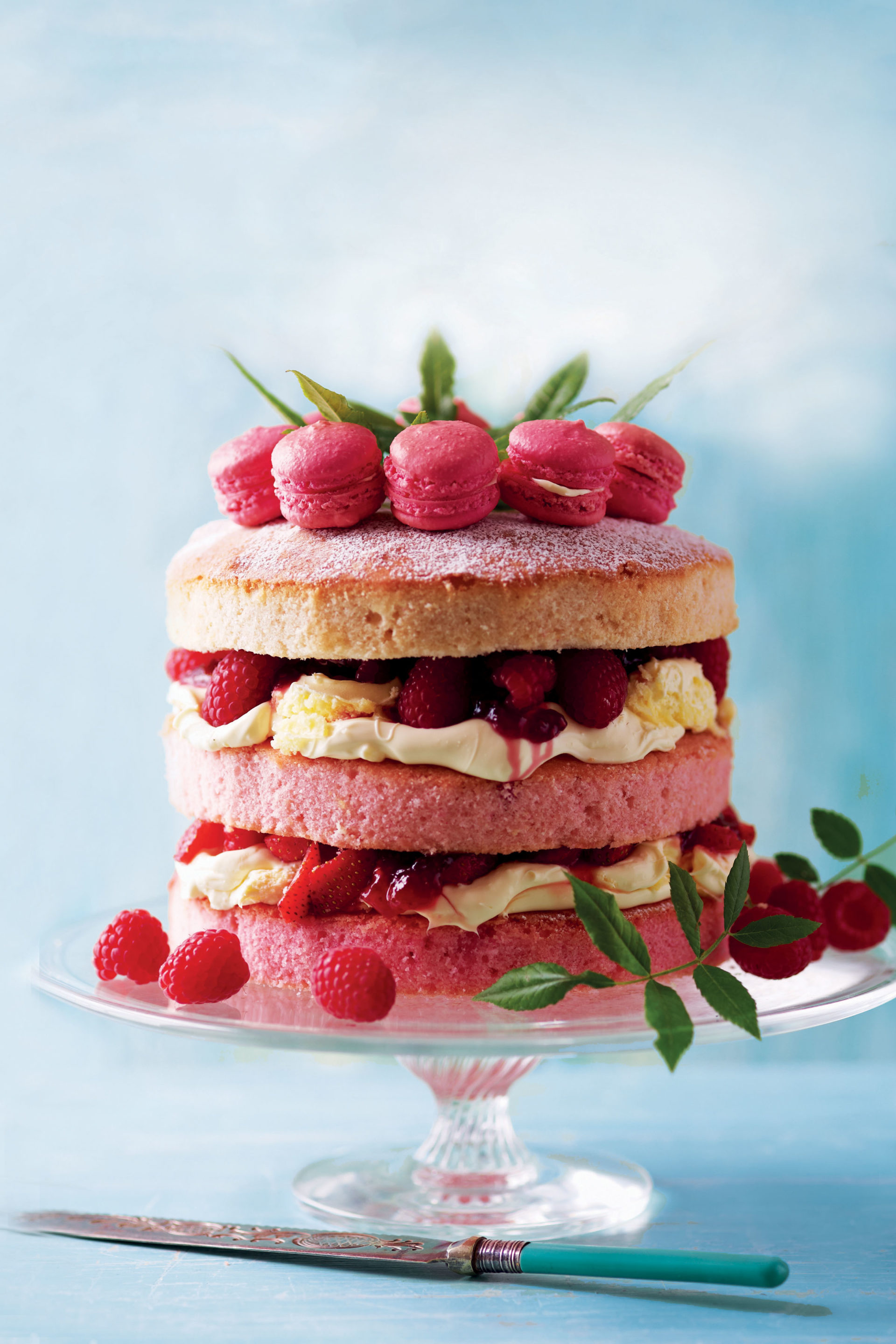 Macaron cake image